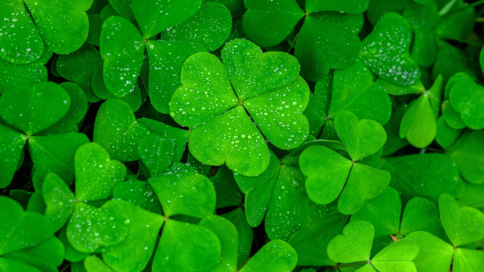 Show us your lucky charm or something you do for good luck!